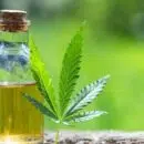 Comment consommer du CBD