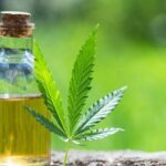 Comment consommer du CBD