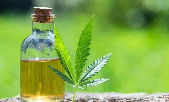 Comment consommer du CBD